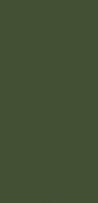 BAY GREEN